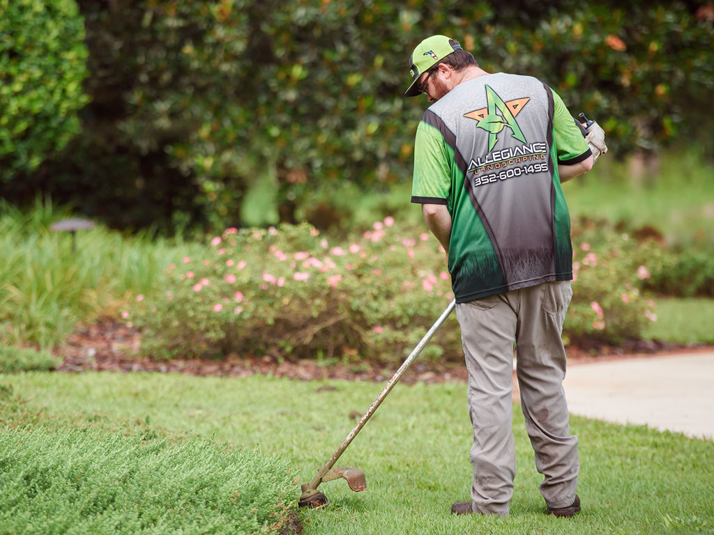 Contact Allegiance Landscaping