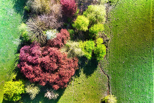 Why Some Florida Landscape Construction Projects Thrive for Years - While Others Begin Failing After the First Summer