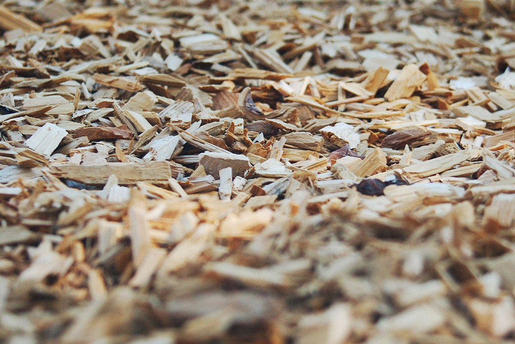 5 Mulching Practices That Help Florida Landscapes Hold Moisture and Reduce Disease Pressure