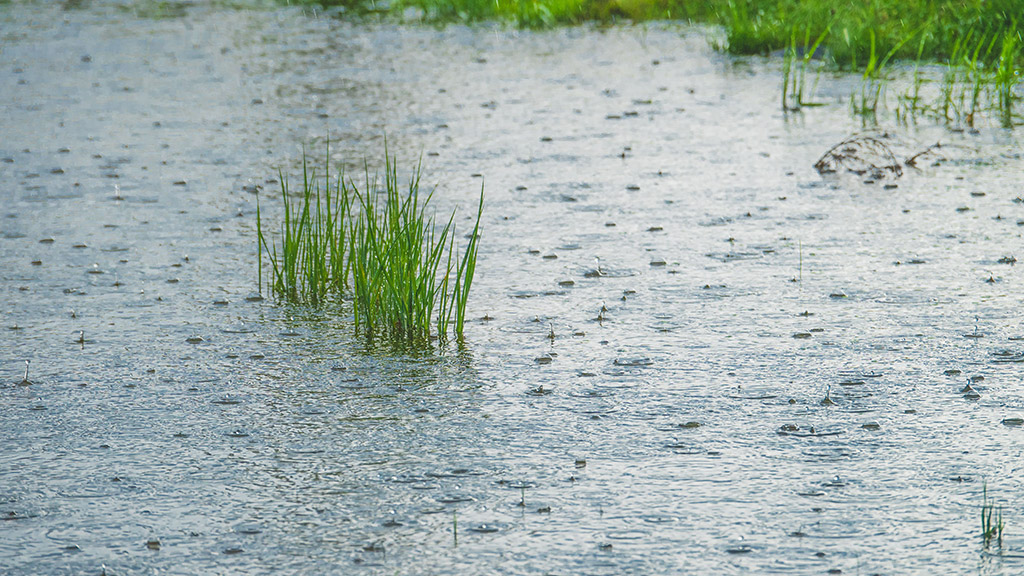 Why Stormwater Problems Keep Returning on Florida Commercial Properties And What Property Managers Can Do About It
