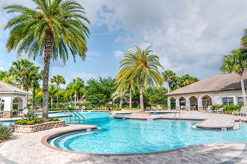 Best Pool Privacy Plants for Gainesville Florida Landscapes