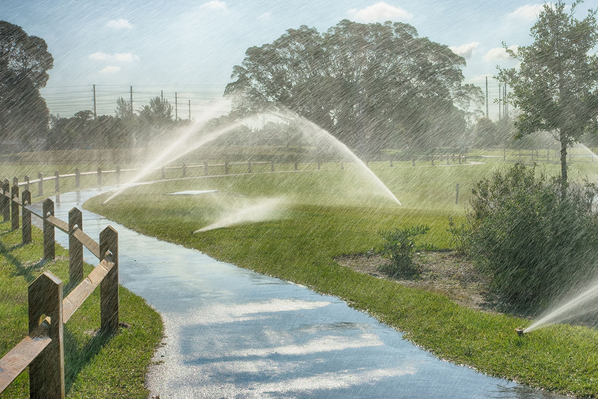 Irrigation Management