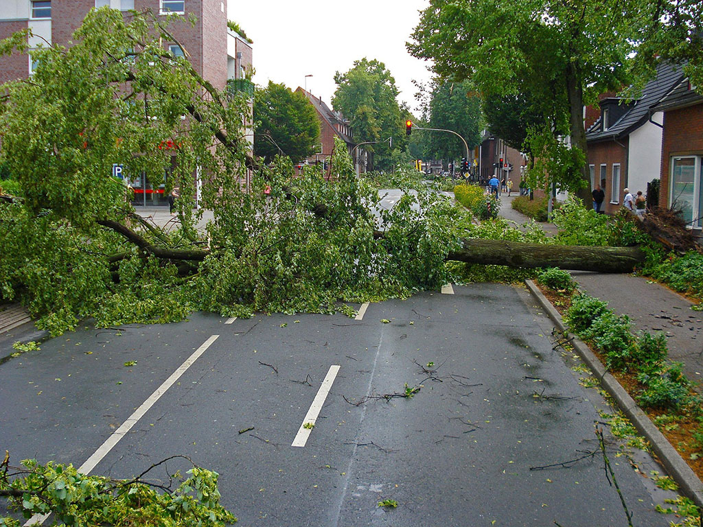 Hurricane
