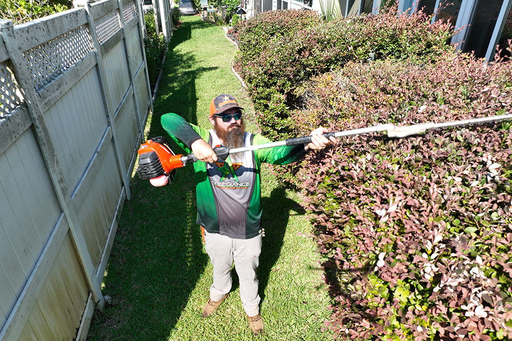 Landscape Maintenance and Care