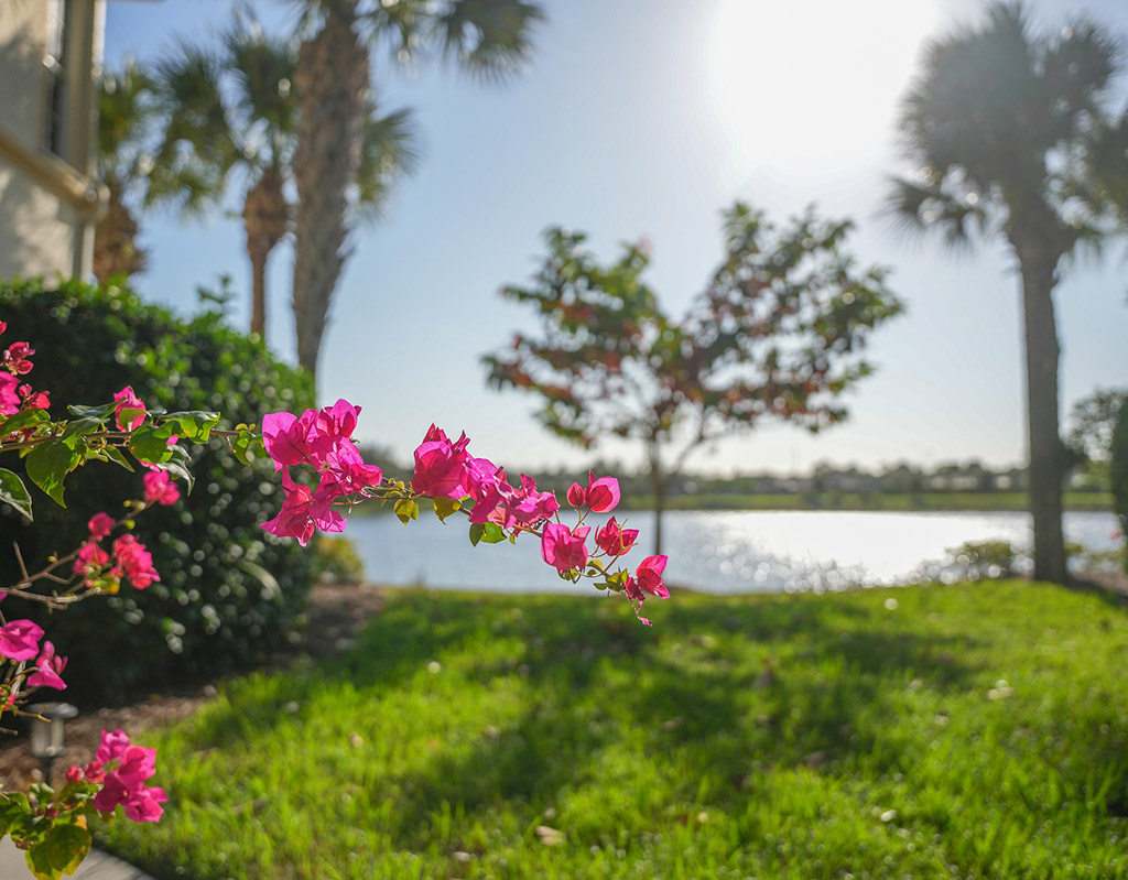 Landscaping Trends HOA Communities Should Watch in 2026