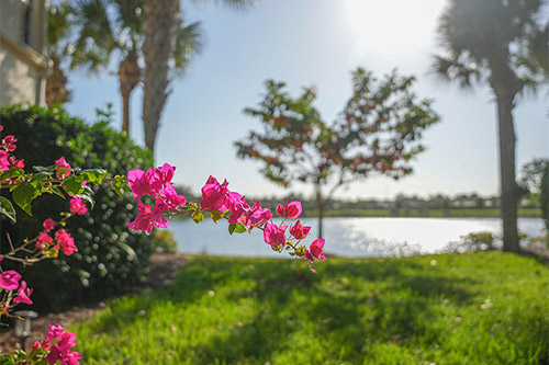 Landscaping Trends HOA Communities Should Watch in 2026