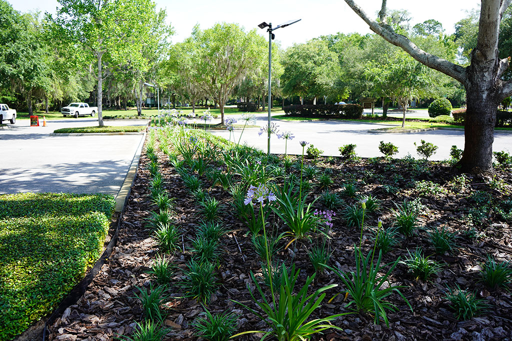 HOA Landscape