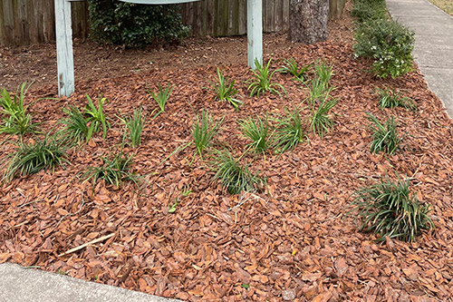 Mulch