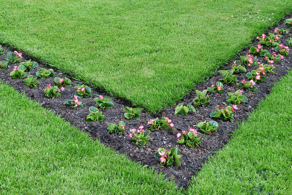 Preparing Your Gainesville Landscape for Spring