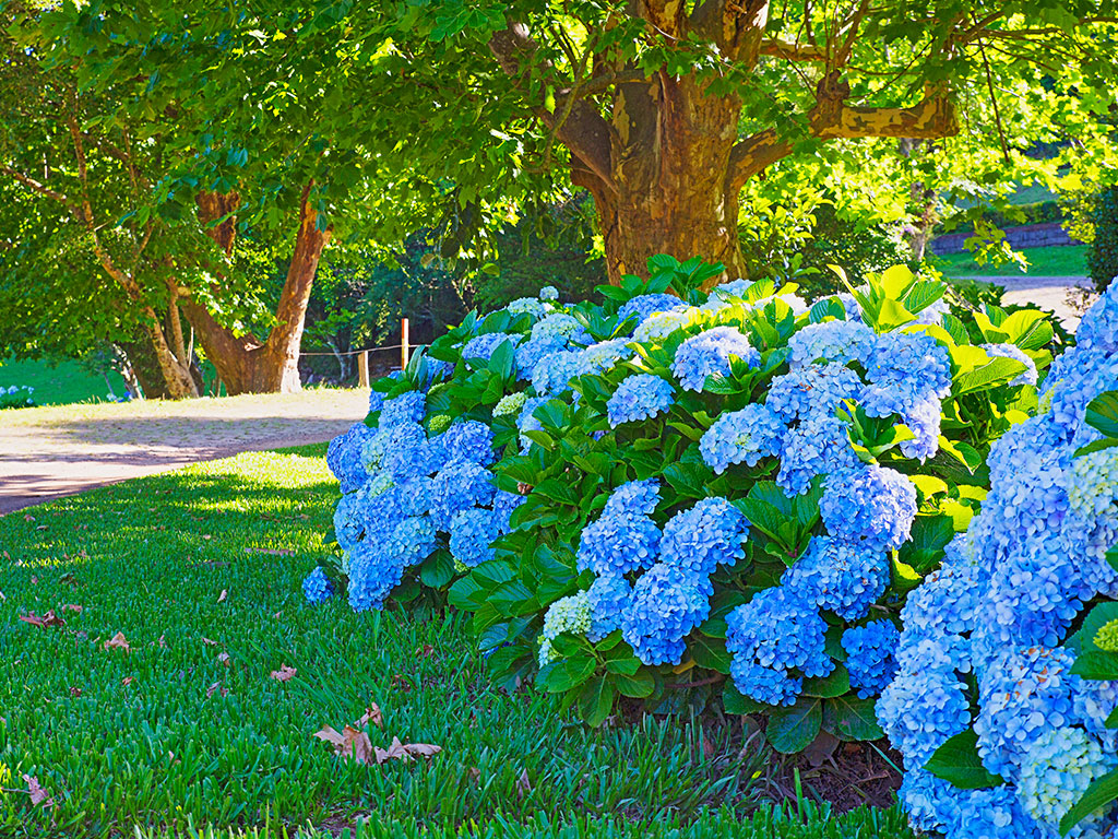 Landscape Enhancements