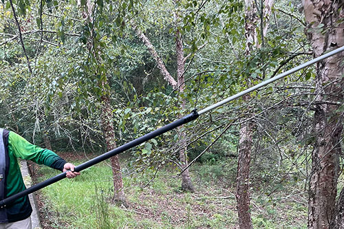 The Winter Advantage - How Proactive Tree Inspections Protect Property Value and Safety